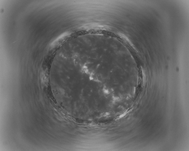 X0000066501063200603241236