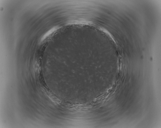 X0000066501064200603241236