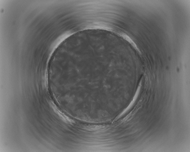 X0000066501076200603241236
