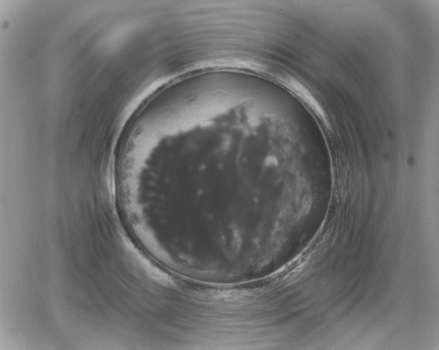 X0000066501084200603241235