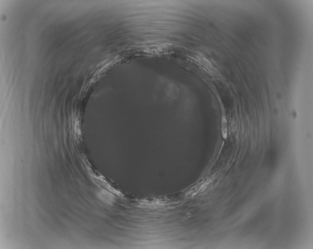 X0000066501106200603241234