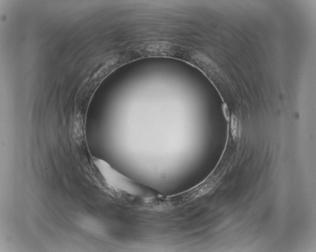 X0000066501107200603241234