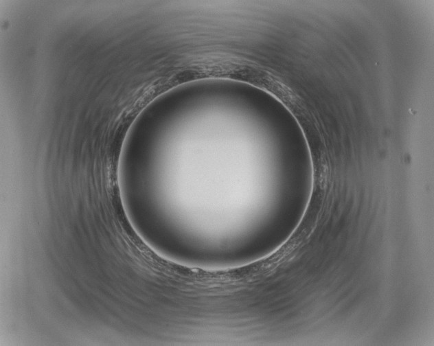 X0000066501108200603241234