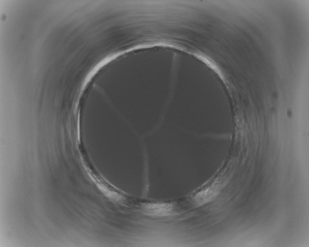 X0000066501127200603241235