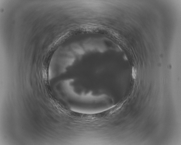 X0000066501155200603241234