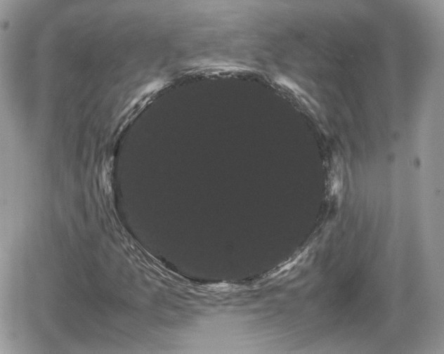 X0000066501157200603241234