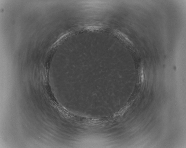X0000066501158200603241234