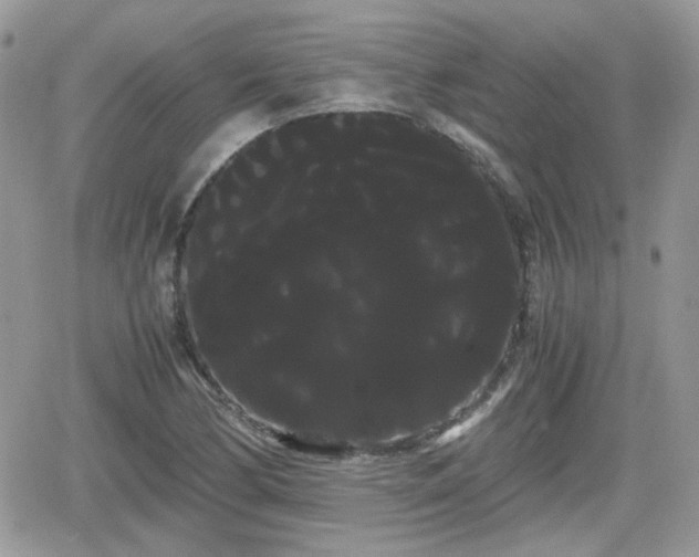 X0000066501170200603241234
