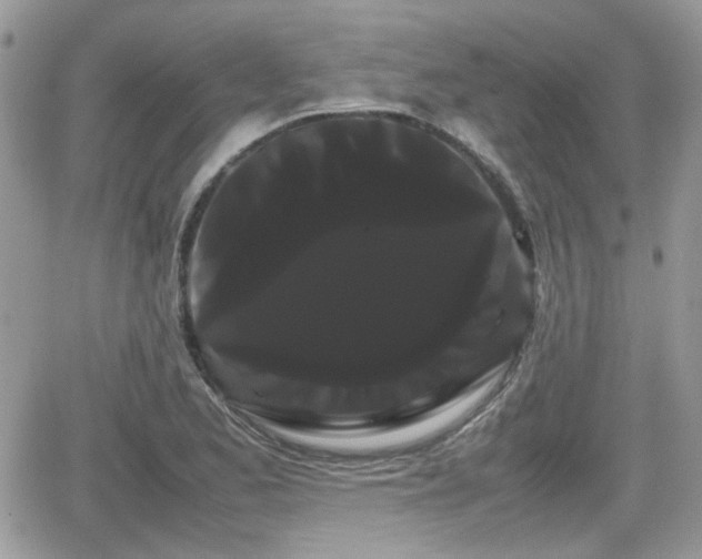 X0000066501173200603241234