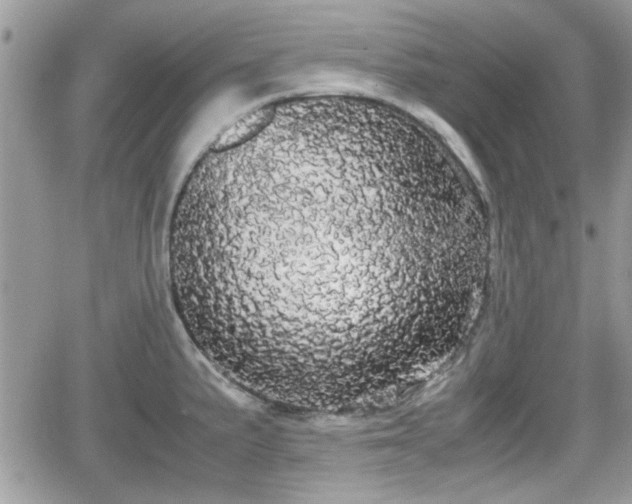 X0000066501191200603241234