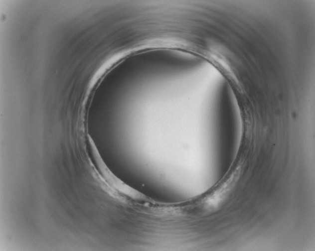 X0000066501192200603241234