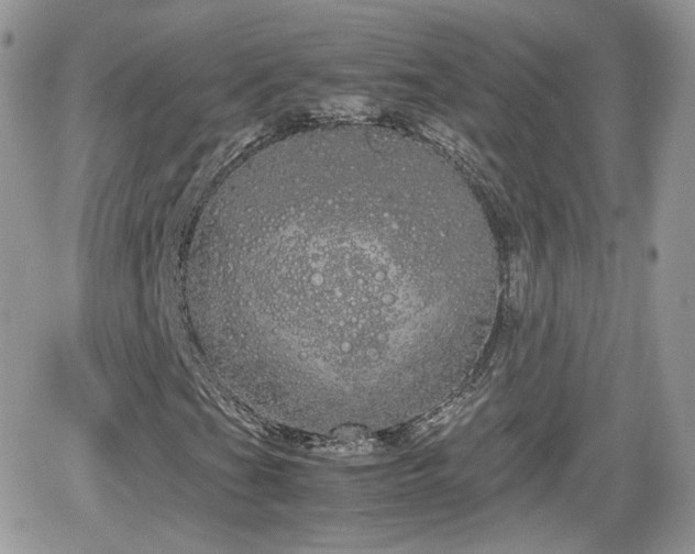 X0000066501201200603241233