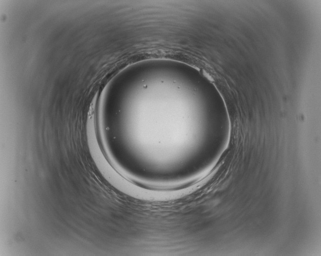 X0000066501202200603241233