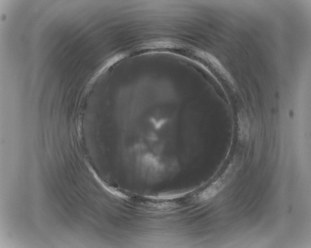 X0000066501225200603241233