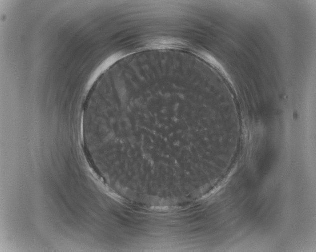 X0000066501227200603241233