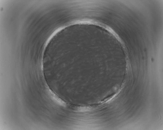 X0000066501232200603241233