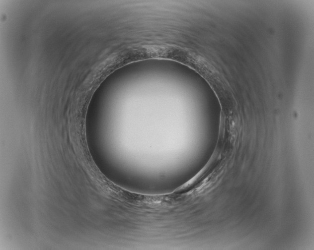 X0000066501249200603241233