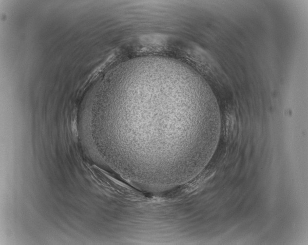 X0000066501250200603241233