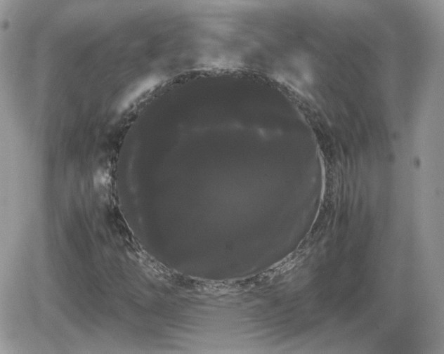 X0000066501254200603241233