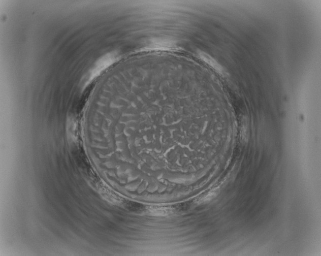 X0000066501258200603241233