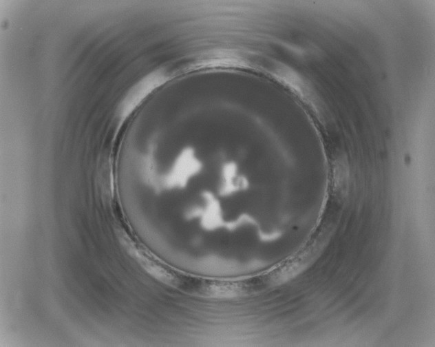 X0000066501274200603241232