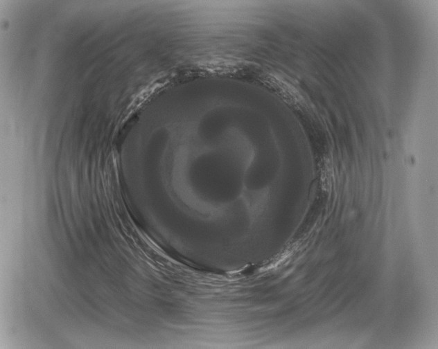 X0000066501298200603241231