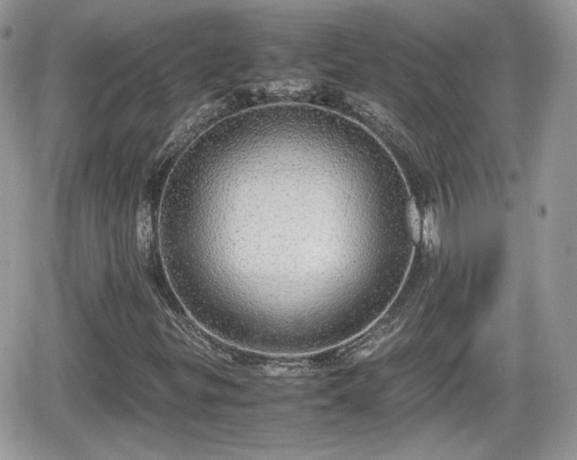 X0000066501299200603241231