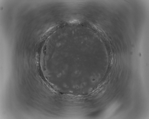 X0000066501301200603241231
