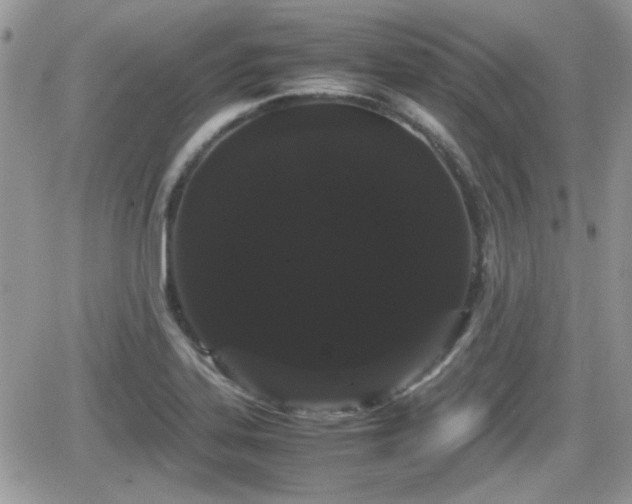 X0000066501323200603241232