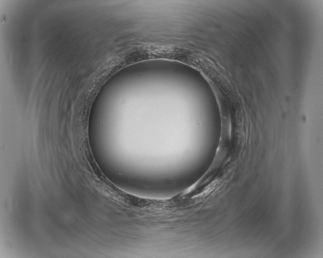 X0000066501345200603241231