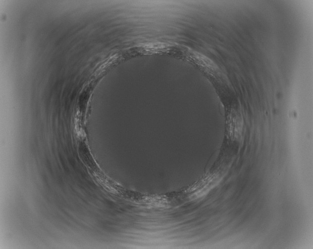X0000066501346200603241231