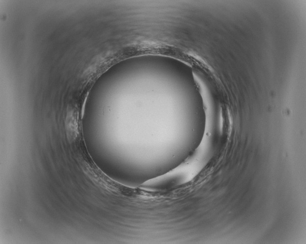 X0000066501348200603241231