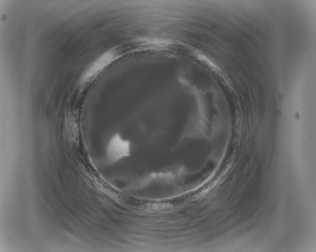 X0000066501354200603241231