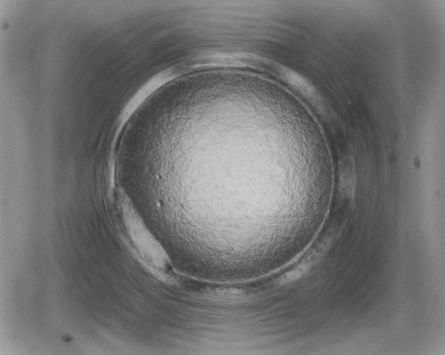 X0000066501370200603241231
