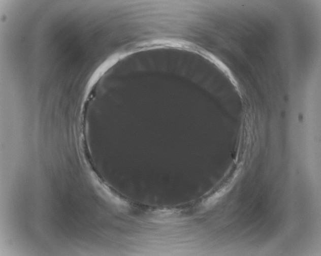 X0000066501373200603241231