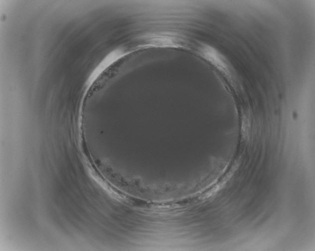 X0000066501378200603241231