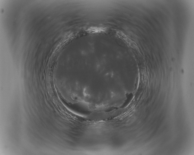 X0000066501393200603241230