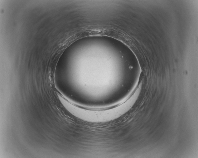 X0000066501394200603241230