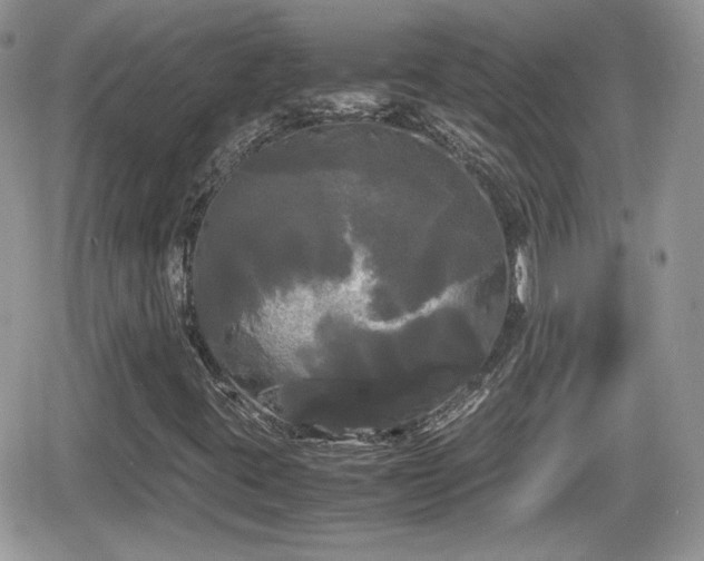 X0000066501395200603241230