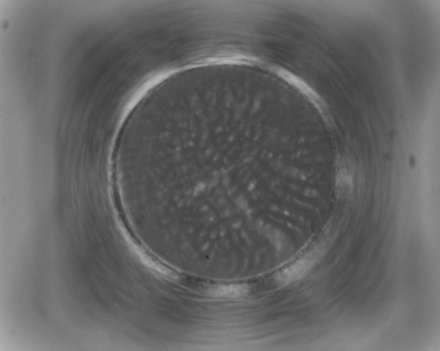 X0000066501423200603241230