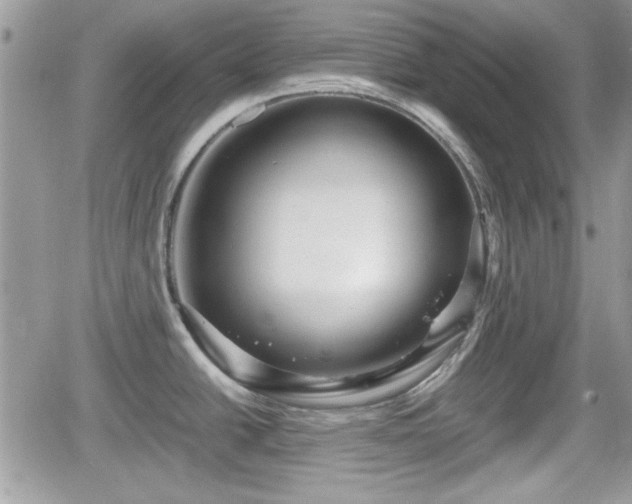 X0000066501438200603241230