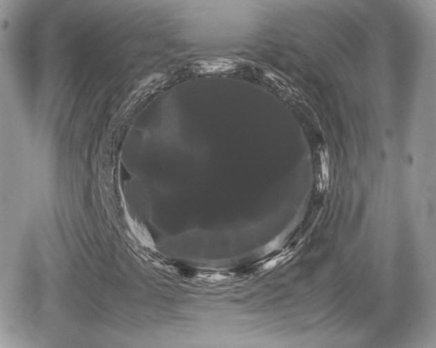 X0000066501441200603241230