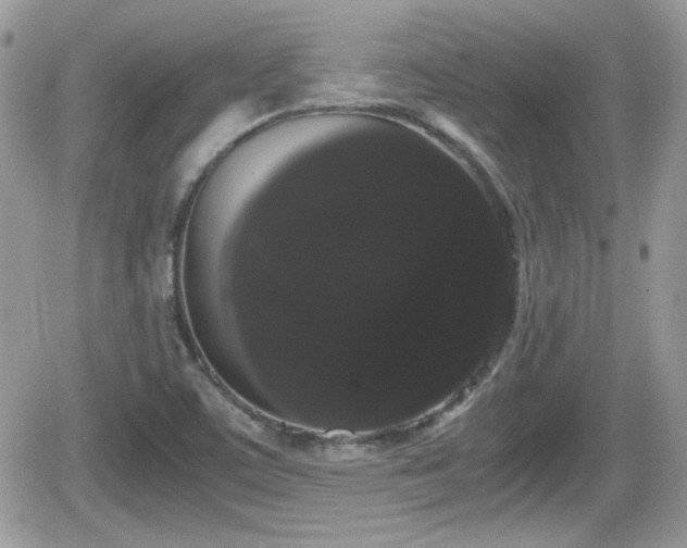 X0000066501459200603241229