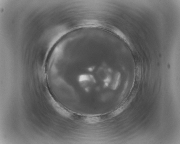 X0000066501466200603241229