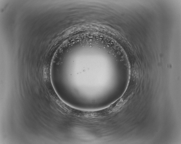 X0000066501490200603241228