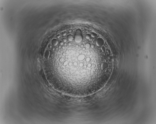 X0000066501493200603241228