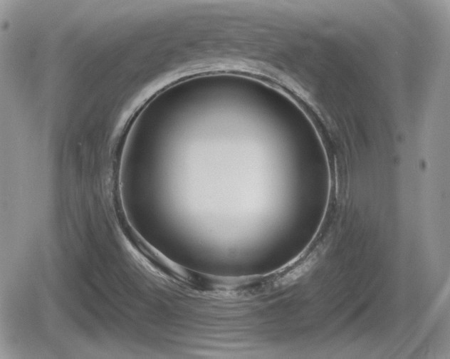 X0000066501500200603241228