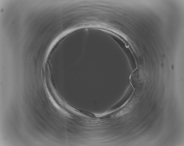 X0000066501515200603241228