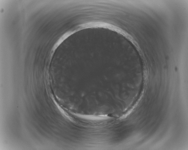 X0000066501521200603241229