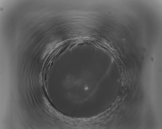 X0000066500002200603311716